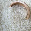 Gạo nếp cái hoa vàng